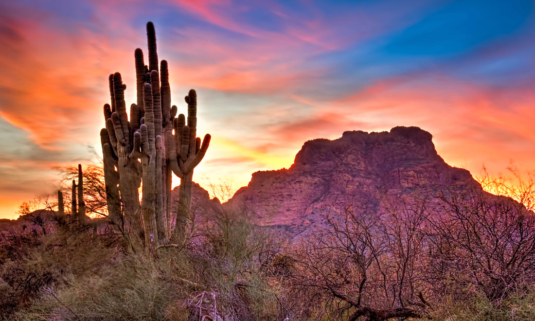 Top places to ride an Electric Scooter in Phoenix